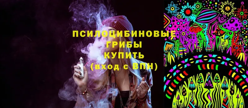 Псилоцибиновые грибы Psilocybine cubensis  Губкинский 